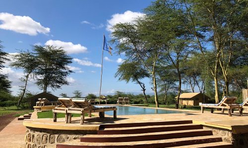 Africa Safari Lake Manyara