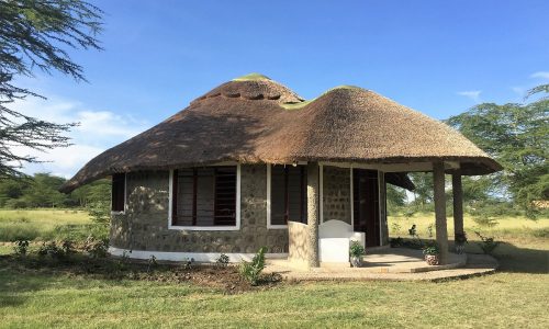Africa Safari Lake Manyara