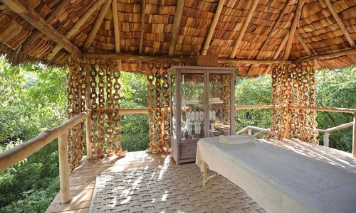 andBeyond-lake-manyara-tree-lodge