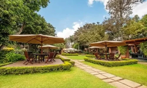arusha coffee lodge