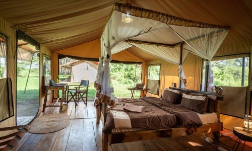baobab tented lodge