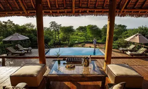 tarangire treetops