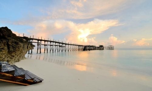 essque-zalu-zanzibar