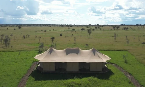 لمحة عن مخيم أفريقيا