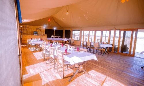 لمحة عن مخيم أفريقيا