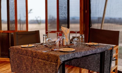 لمحة عن مخيم أفريقيا