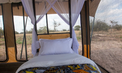 لمحة عن أفريقيا