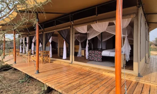 لمحة عن مخيم أفريقيا