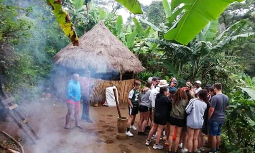 group joining safari