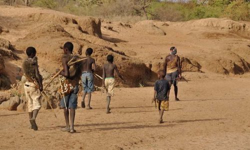 movies to watch before going on tanzania safari