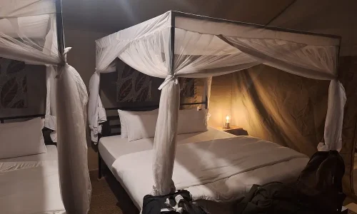 harmony-safari-camps