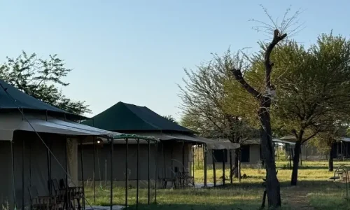 harmony-safari-camps