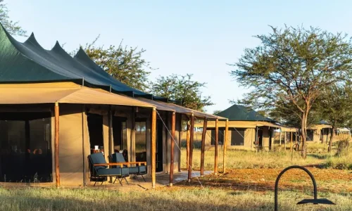 harmony-safari-camps