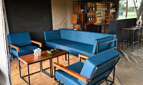 harmony safari camps