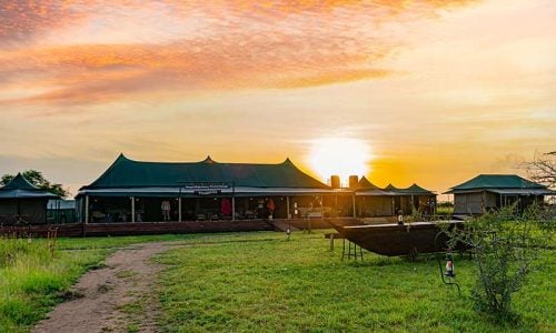 serengeti heritage camp