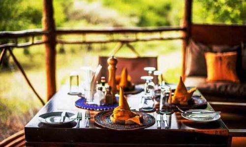 suricata manyara boma