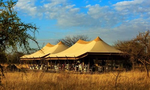 Intimate Camp Seronera