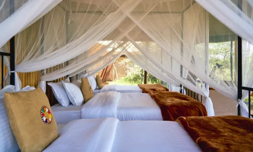 Intimate Camp Seronera