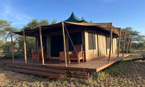 into wild africa luxury tented safari camp