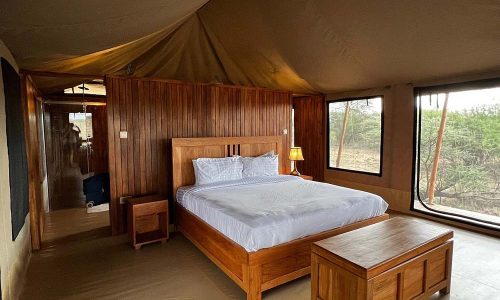 into wild africa luxury tented safari camp