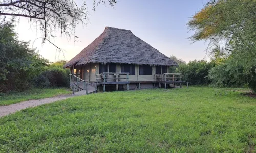 lake burunge tented lodge