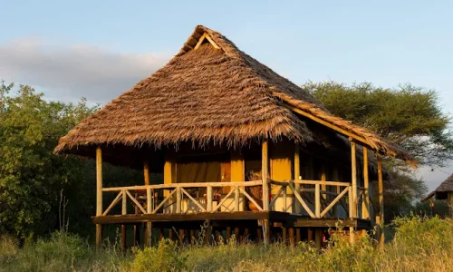 lake burunge tented lodge