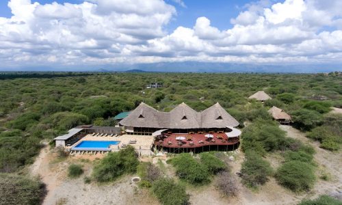 8 Days Wildlife Mid-range Tanzania Safari