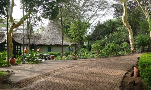 lake manyara serena safari lodge