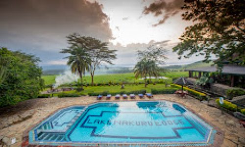Top Luxury Safari In Tanzania