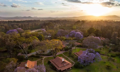 pondok-legendaris_arusha