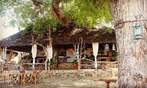 mikumi wildlife camp