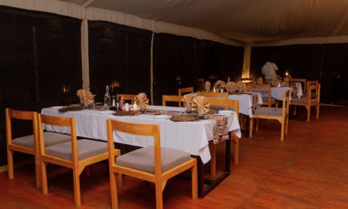 moyo tented camp