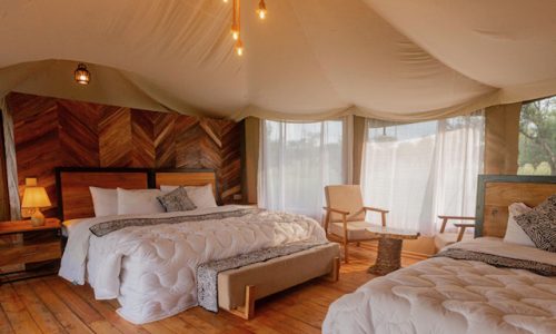 moyo tented camp