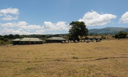 ngorongoro simba campsite