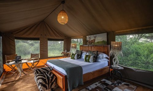 ngorongoro wild camp