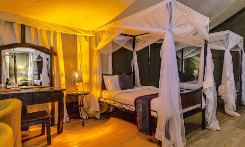 ngorongoro wild camp