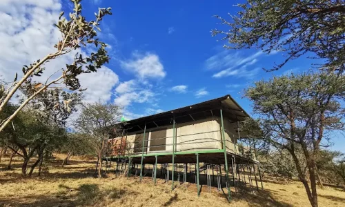 ngorongoro wild camp