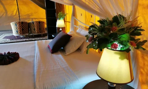 ngorongoro wild camp