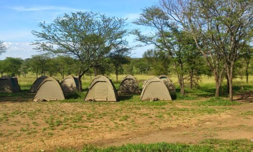 nyani campsite