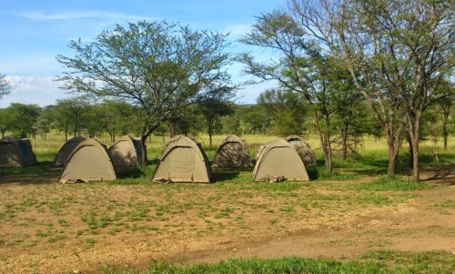 nyani campsite