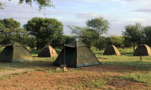 nyani campsite