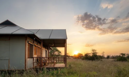 4 Days Tanzania Standard Safari