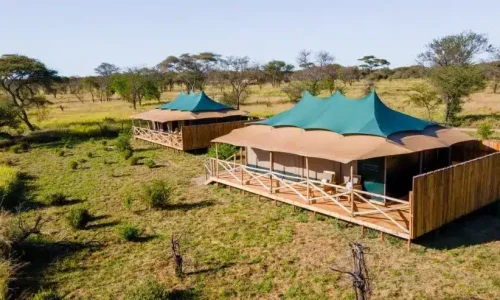 Tanzania Safari for Diabetic Travelers