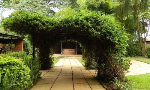 Octagon safari Lodge