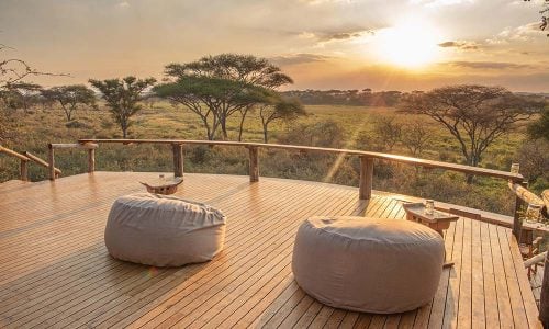 11 Days Tanzania Safari