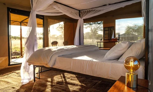 kamar-tenda-harmoni-kemah-safari-tanzania