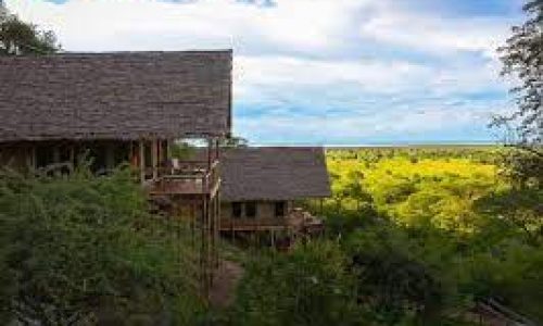 10 Deeg Tanzania Northern Circuit Safari