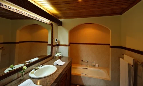 savora lion hill game