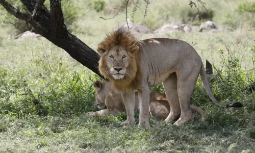 4 days group joining