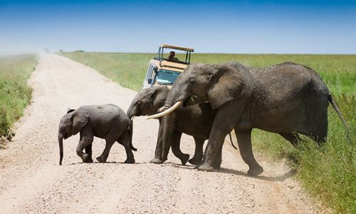 Tanzania Safari Price